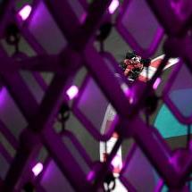 Grand Prix d'Abou Dabi 2025 : stratégies et données Pirelli